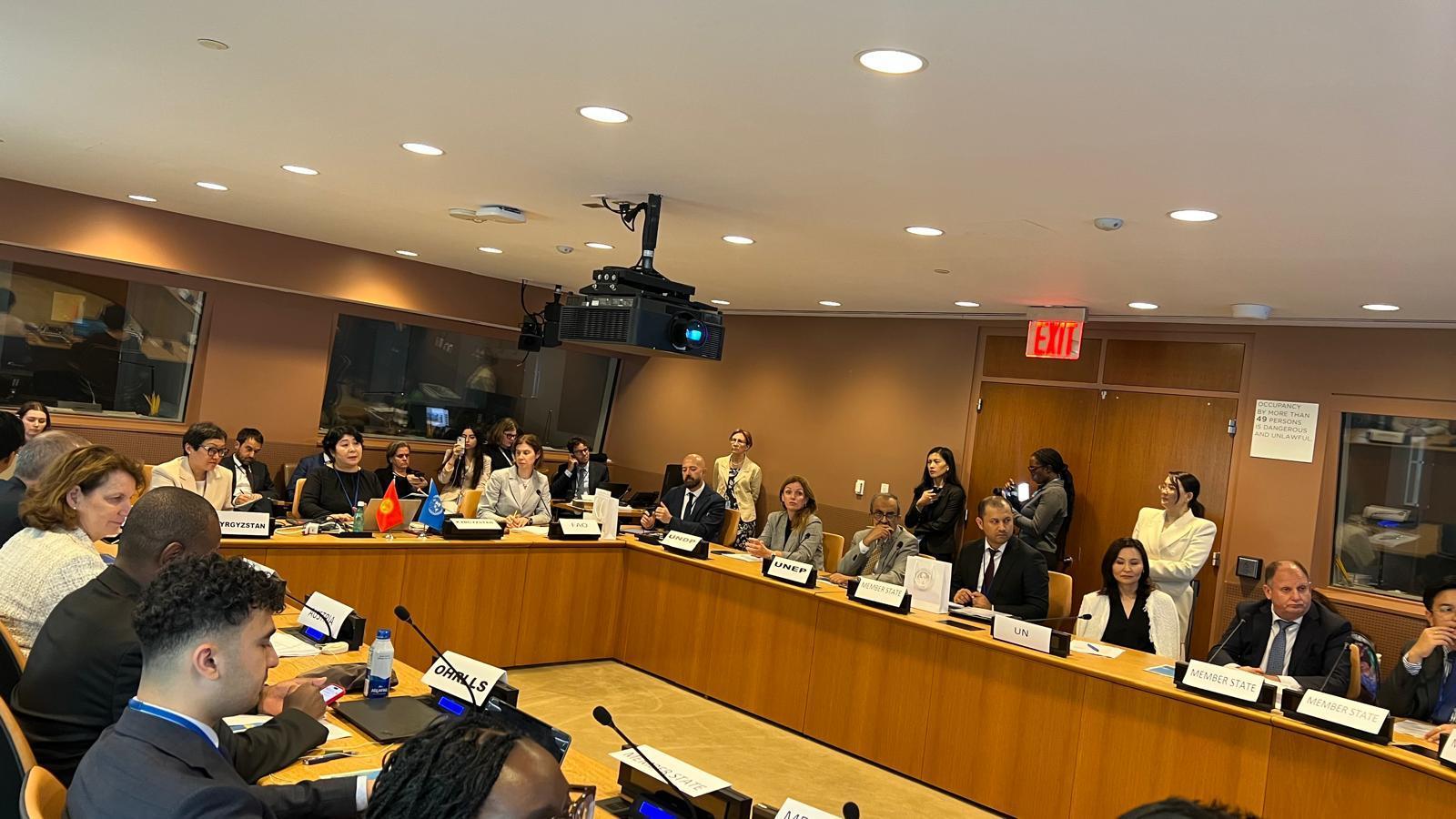 17 июля 2025 года в штаб квартире ООН организован сайд-ивент в рамках реализации  Пятилетия действий по развитию горных регионов