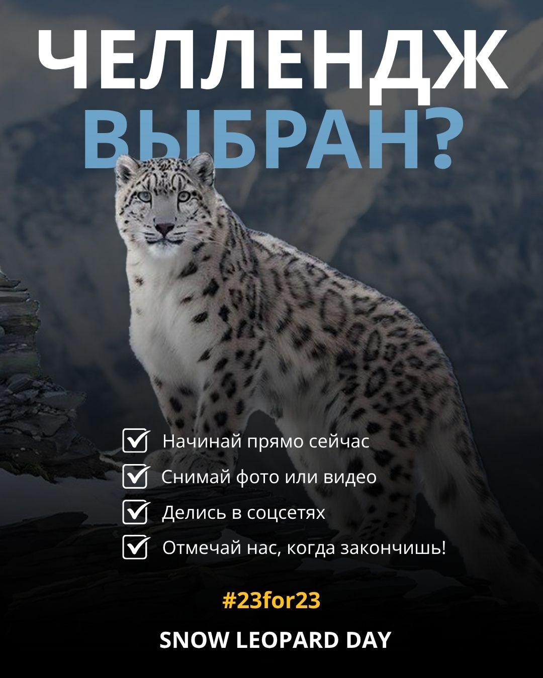 Глобальная кампания #23for23 - Изображение 5