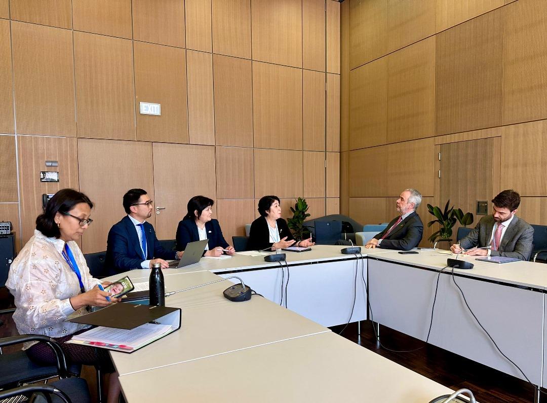 Кыргызстан совместно с государствами-партнёрами продвигает горную повестку в рамках климатических процессов - Изображение 7