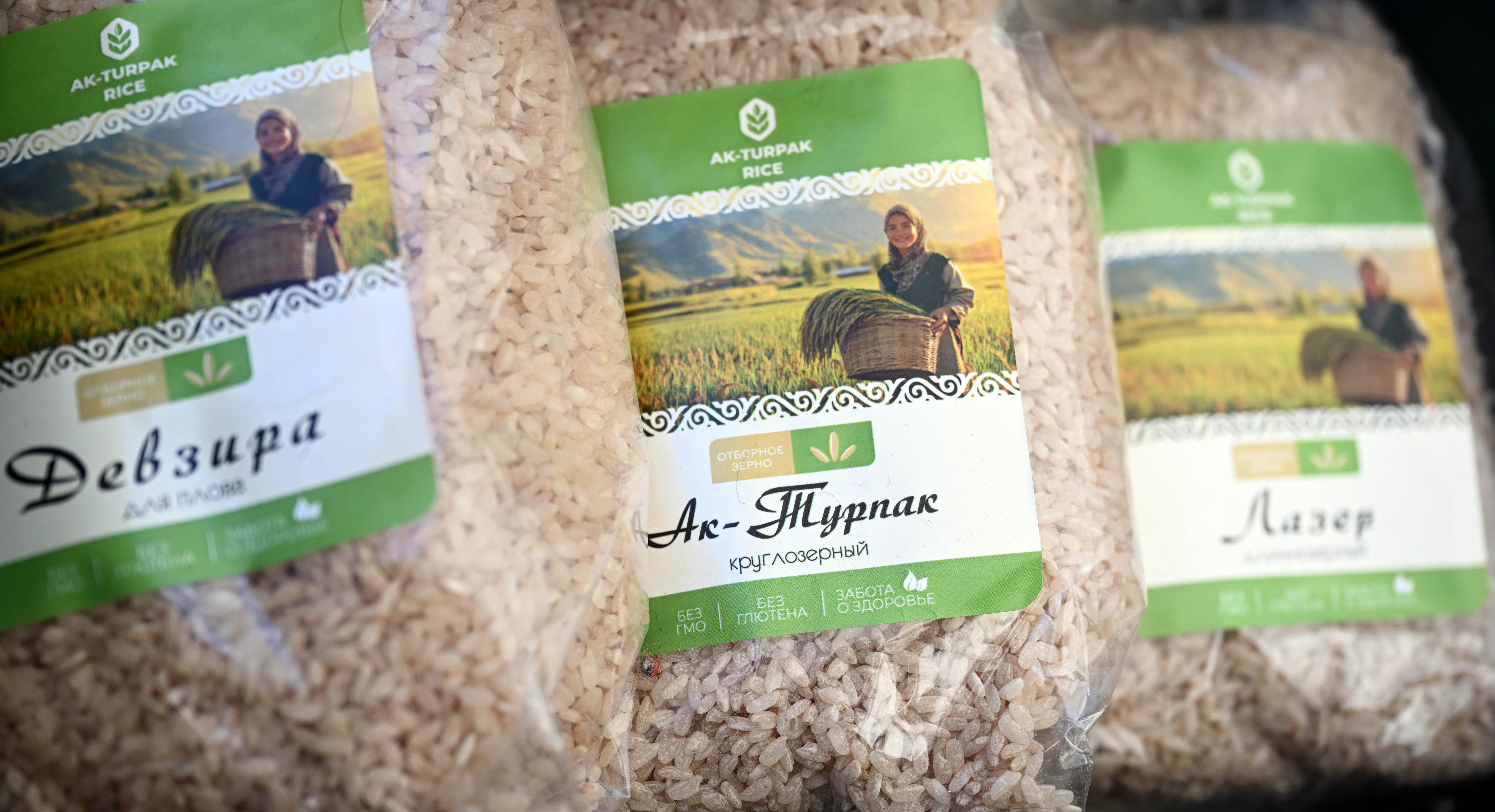 Президент Садыр Жапаров принял участие в посадке деревьев в рамках второго дня Глобального горного диалога - Изображение 8