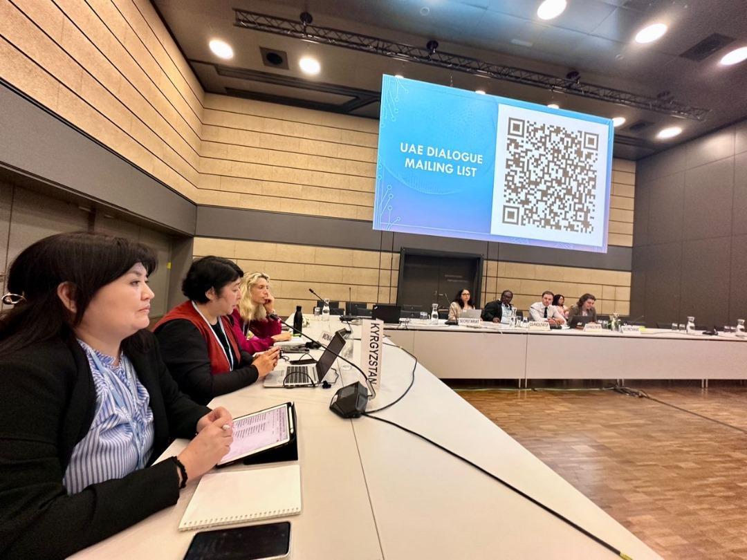 Кыргызстан совместно с государствами-партнёрами продвигает горную повестку в рамках климатических процессов - Изображение 3