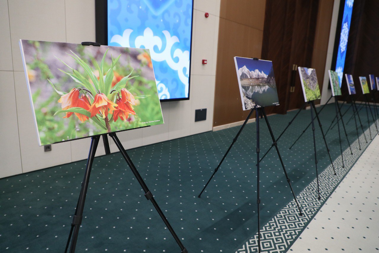 К Международному дня гор представлены итоги продвижения Декларации по изменению климата, горам и ледникам - Изображение 9